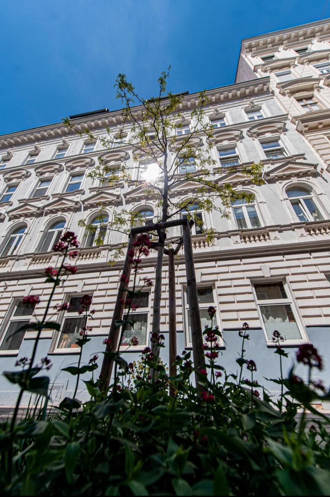 Vienna My City Apartment Garden View Екстер'єр фото